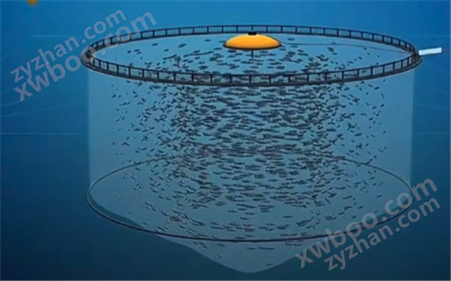 ˮֳˮpHֵܽDO絼Ƕ